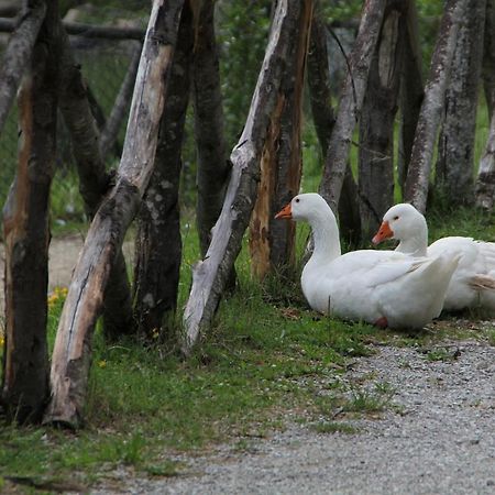Albergo Lago Verde Pennabilli Exteriér fotografie