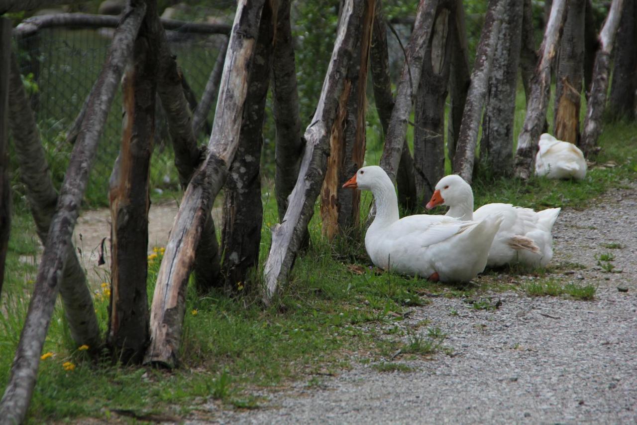 Albergo Lago Verde Pennabilli Exteriér fotografie
